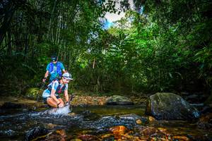 BIB: 
                            <button type="button" onclick="openModal(21766072)" class="btn btn-primary btn-sm float-right btn-popup" data-toggle="modal" data-target=".modal-high-quality">
                        <i class="fas fa-shopping-cart"></i> Add to Cart
                    </button>
                                            <button type="button" onclick="isThisMe(21766072, true)" class="btn btn-success btn-sm float-right btn-popup btn-isme hidden" data-toggle="tooltip" data-placement="bottom" title="นี่คือรูปของคุณใช่ไหม คลิกที่นี่เพื่อเอาเข้าอัลบั้ม">
                        <i class="fas fa-plus"></i> Add to album
                    </button>
                    <button type="button" onclick="isThisMe(21766072, false)" class="btn btn-warning btn-sm float-right btn-popup btn-isnotme hidden">
                        <i class="fas fa-ban"></i> Remove from album
                    </button>